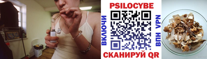 Купить  Новороссийск  Галлюциногенные грибы Magic Shrooms 